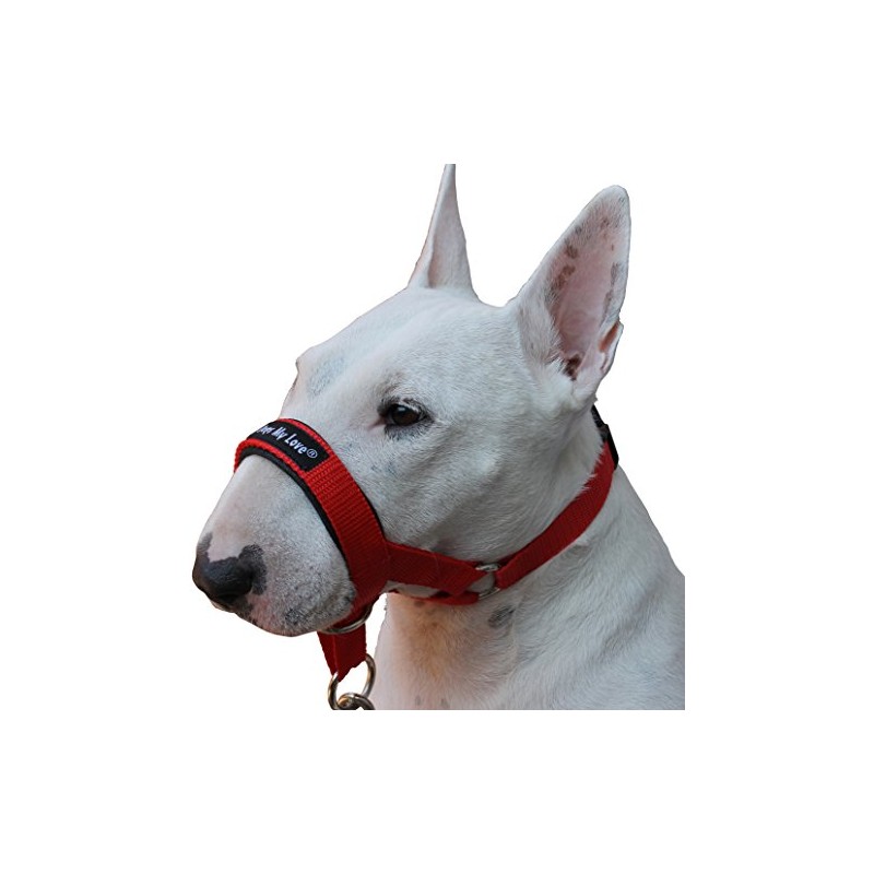 Dog Head Collar Halter Red 6 Sizes (L: 10.25"-12.25" Snout)