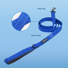 Voyager Reflective Dog Leash with Neoprene Handle, 5ft Long, Supports Small, Medium, and Large Breed Puppies, Cute and Heavy Duty for Walking, Running, and Training - Royal Blue (Leash), S