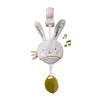 Taf Toys Music & Light Bunny Take Along Toy. Portable