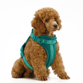 Wisedog No Pull Lightweight Dog Vest Harness with Soft and Comfortable Cushion, Breathable Mesh, for Small Medium Large Dogs Walking (S(Neck: 9.84"-14.17";Chest: 14.17"-22.05"), Emerald Green)