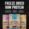 Vital Essentials Freeze-Dried Raw Beef Crunchy Mini Nibs | Complete