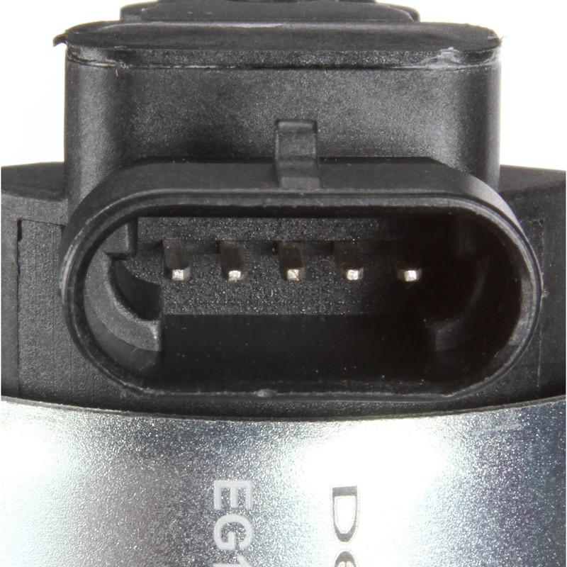 Delphi EG10024 EGR Valve