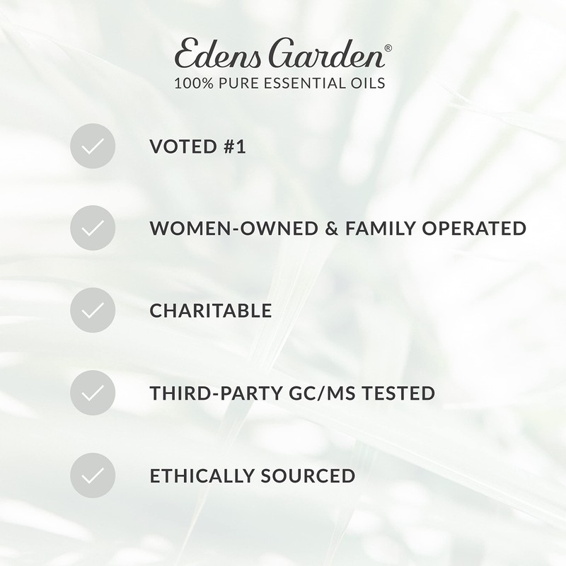 Edens Garden Fir- Silver Essential Oil, 100% Pure Therapeutic Grade