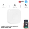 ZigBee 3.0 Smart Button Switch Wireless Mini Switch for DIY