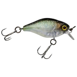 Illex Chubby 38F Wobbler Crankbait 4.0g Secret Grass Minnow