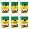 Miracle-Gro All Purpose Plant Food Plant Fertilizer (6 Pack), 3