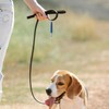 Dog Whistle, Dog Whistle to Stop Barking Neighbors Dog Adjustable