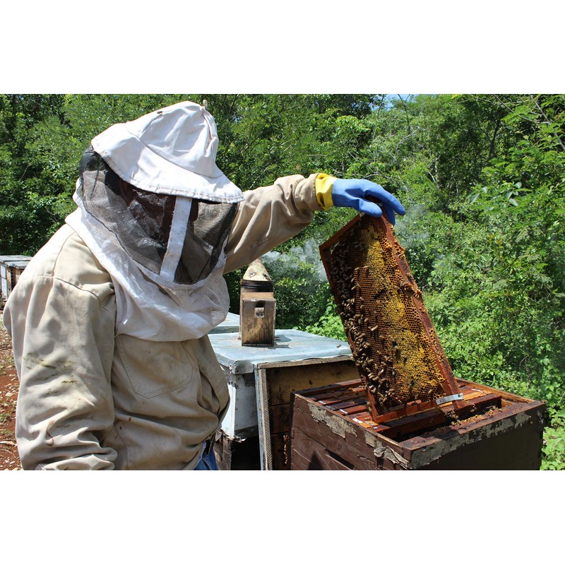 MUKAB Miel Multifloral 550 gr