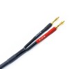WJSTN Speaker Wire Pants y Boot -10 Gauge (Y Boot)
