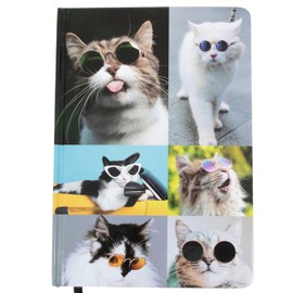 Kathy & Jiggs: Sassy Cat A5 Lined Journal 160 Pages, 5.8 X 8.4 Hardcover Notebook, College Ruled: Cute Aesthetic Gifts for Cat Dads, Mom, Kids, Animal Lovers, Men, Women, Note Book, Diary, Journaling