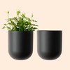 LA JOLIE MUSE Wall Hanging Planters for Indoor Plants，Hanging Flower