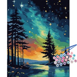 TOCARE Aurora Paint by Numbers Kit for Adults,Aurora Borealis Adult Paint by Number Canvas Kit,Northern Lights Adults' Paint-by-Number Kits Nature Scenery 16x20inch (Without Framed)