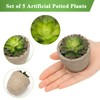 Coitak Artificial Succulent Plants Potted, Assorted Decorative Faux Succulent Potted