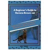  A Beginner's Guide to Havana Brown cats: Expert Tips