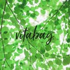 Vitabay Blood Nutrient Complex • 90 Vegan Capsules • Nutrients