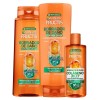 Garnier Kit Garnier Fructis Borrador De Daño Rutina Control Grasa
