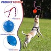 GMMG Dog Toy Ball with Rope, Pack of 4 Dog