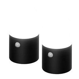 アイリスオーヤマ センサーライト ガーデン LED 乾電池式 丸型 2個セット ZSL-MN1M-BKS2