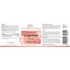 Cryptolepis Tincture (Alcohol-Free) - 150 ml, Cryptolepis Sanguinolenta Drops, 1:4