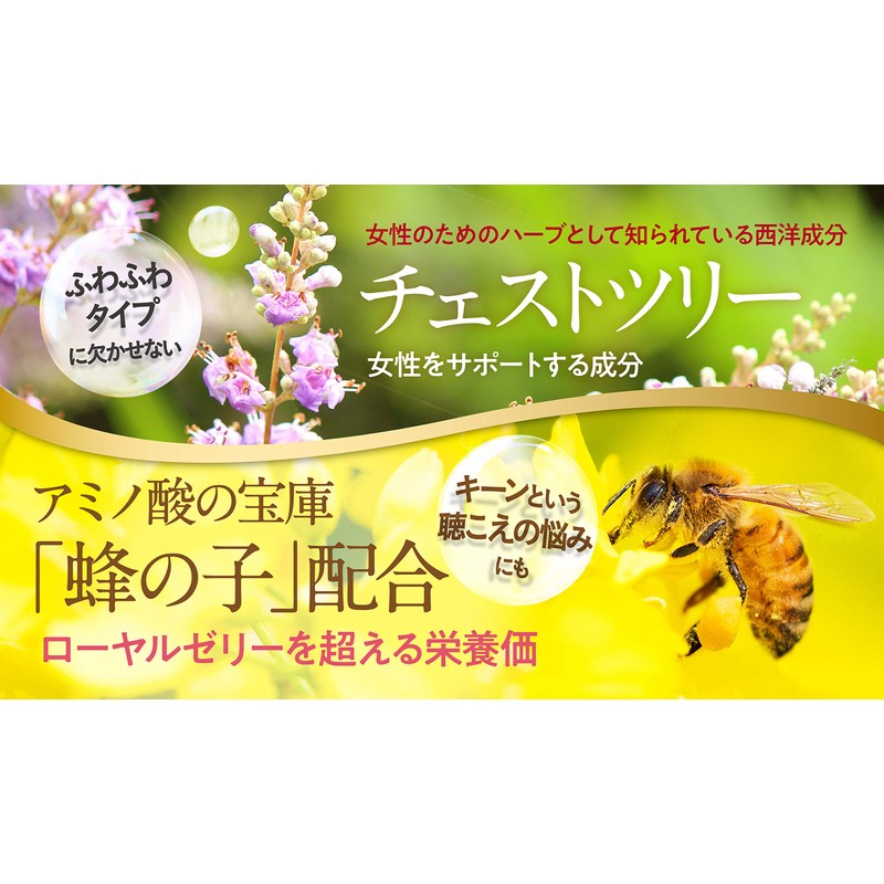 うららか 60粒入 約1ヶ月分 バランスサプリ [ チェストツリー サプリ サプリメント 女性 ふらふら
