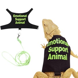 Bearded Dragon Lizards Clothes with Leash Set for Small Pets Reptiles Guinea Pig Apparel Lizards Outdoor Walking Training Harness Leash Hand-Made Costume Photo Prop (Green)