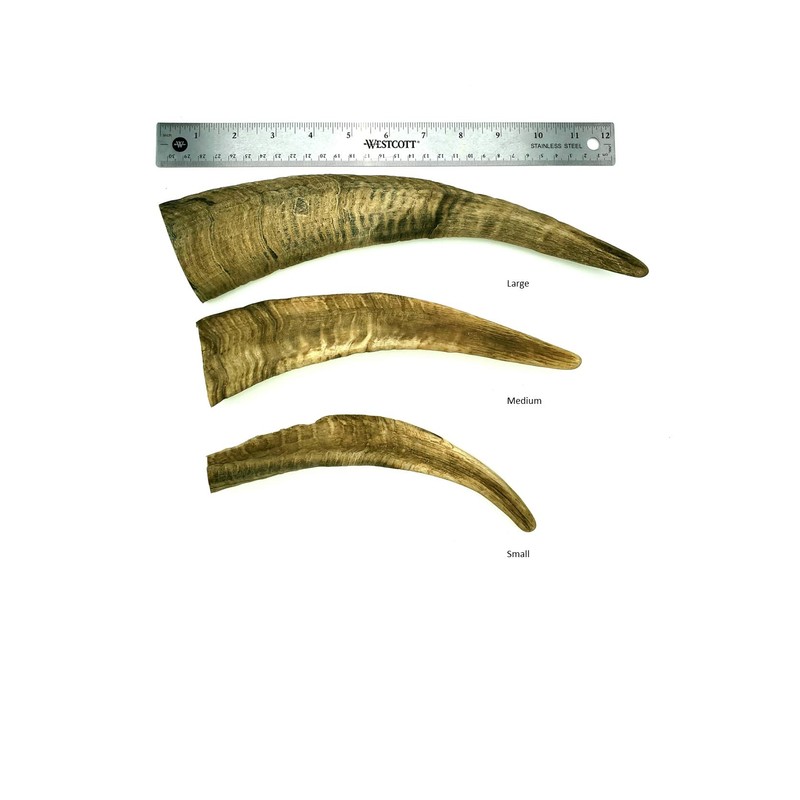 Herders Choice Chews Dried Goat Horns Dog Chew Large 1