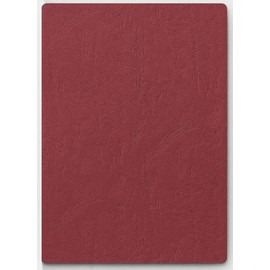 Pagna 22003 Presentation Folder Sprint, Set of 3, Red
