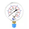CARBO INSTRUMENTS 2-1/2" Capsule Diaphragm Pressure Gauge 10 PSI 1/4"
