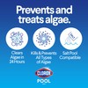 Clorox® Pool&Spa™ XTRABLUE® Plus Swimming Pool Algaecide, All-in-One Algae Killer,