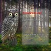 Solar Powered Owl Hunting Decoy Bird Scarer Deterrent Pest Control