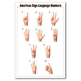 Zieglerworld American Sign Language ASL Alphabet & Numbers Laminated Double Sided Educational Learning Tools Chart 8 1/2 x 11