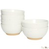 Bosmarlin Small Ceramic Dessert Bowls, 16 Oz, Set of 6,