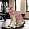 Hairless Cat Sweatshirt Sweater- Cat Wear Soft Cotton Vest Warm