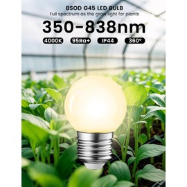 Full Spectrum Light Bulb, LED Light Bulb G45 Small Lightbulbs E26 White 5W Eq 40W Sunlight Night Appliance Bulb for Home, Growing, Plant, Freezer, Lamp (1 Natural White Bulb)