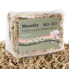 Mossify Premium Sphagnum Moss for Plants 50g, 1.8 Oz - Moss for Plants Indoor & Outdoor – Moisture Retaining & Long Lasting – Ideal Sphagnum Moss for Reptiles, Terrariums, & Gardening, Clean Habitat