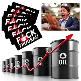 FT10Pcs FTStickers Decal Waterproof Sticker Decal Car Window Bumper Wall Phone Car Sticker (Style B)