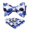 HISDERN Bow Ties for Men Polka Dot Selftie Bowtie and