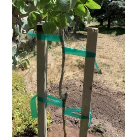 SCOREBUYS Wide Plant Tree Tie Tape 150 FT x 1” HEAVY DUTY Stretch, Green Garden Tree 8 MIL