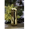 DrinkPod Flask, Stainless Steel, Gold, 200ml