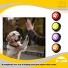 PetnBeyond Dog Talking Buttons - Communication Starter Pack, 4 PCS