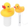 2Pcs Water Thermometer Set High Temperature Resistant Pool Chlorine Dispenser