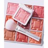 ReDimension Hydra Powder Blush Makeup with Compact - Organic Gel