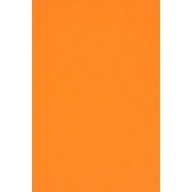 Netuno Sirio Colour Arancio Coloured Cardboard Orange DIN A4 210 x 297 mm 210 g Fine Cardboard Coloured Craft Card A4 Clay Drawing Card for Crafts Printing Business Cards Pack of 25