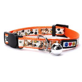 Pawtitas Glow-in-The-Dark Cat Collar – Adjustable Safety Collar with Breakaway Buckle & Removable Bell, Orange