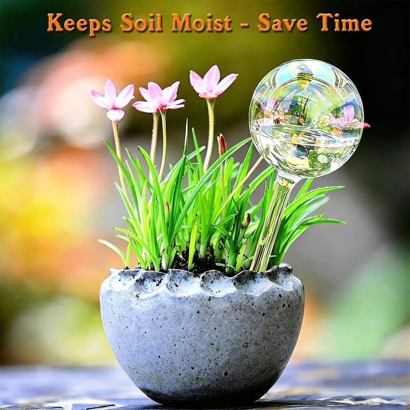 Self Watering Globes for Plants, Large 6pcs Glass Garden Self
