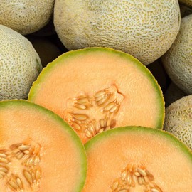 Cantaloupe Melon Garden Seeds - 3 g Packet ~80 Seeds - Non-GMO, Heirloom, Vegetable Gardening Seeds - Fruit