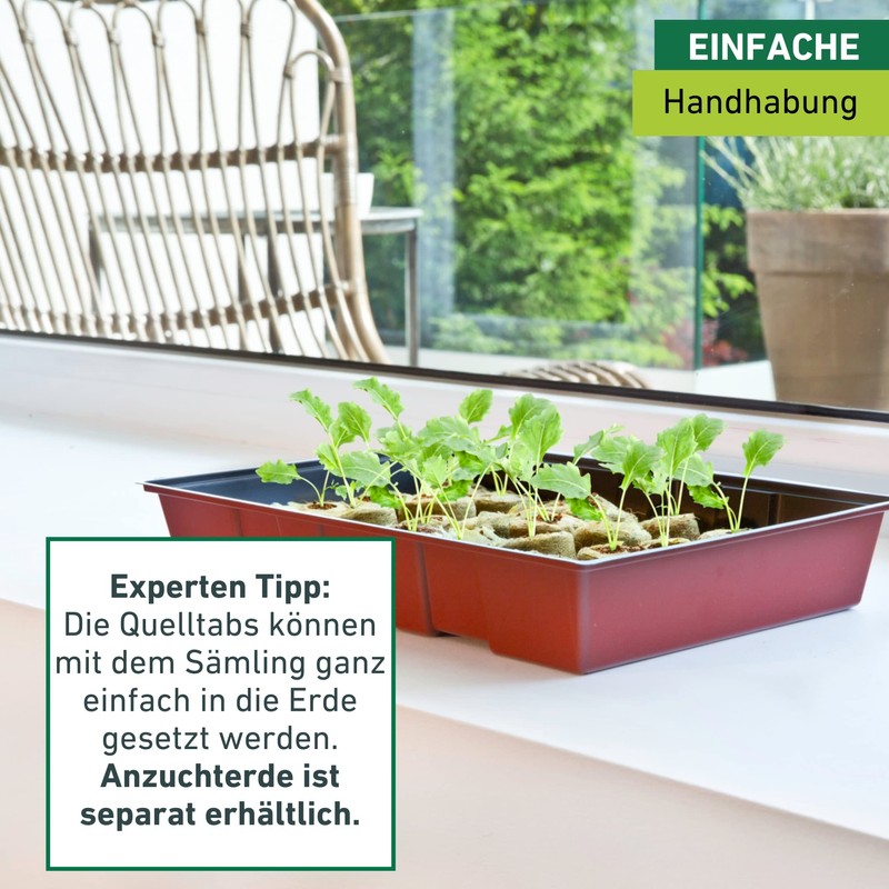 Windhager Room-Greenhouse Maxi Windowsill-Greenhouse Plant Breeding