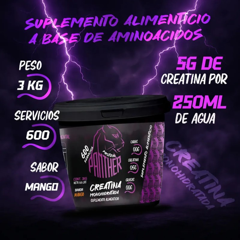 Creatina Panther Protein Monohidratada 3kg 600 Servicios