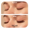 Tegan Lash 500 Extensiones De Pestañas Promade Fans Volume, Pestañas