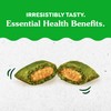 Greenies Feline Smartbites Skin & Fur Health Crunchy and Soft